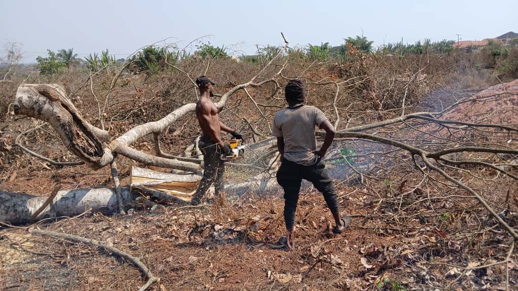 JOSÉMARIA ESCRIVA FOUNDATION