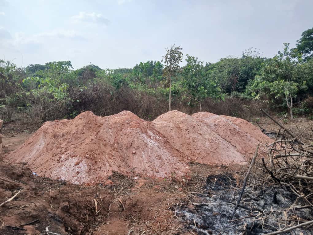 JOSÉMARIA ESCRIVA FOUNDATION